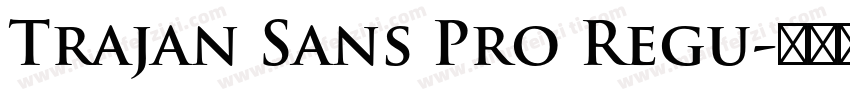 Trajan Sans Pro Regu字体转换